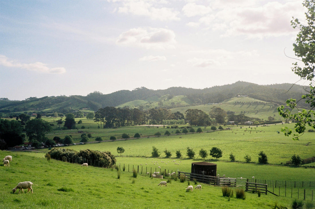 Puffing Kiwi ニュージーランド発VPAEショップ、自然のイメージ画像